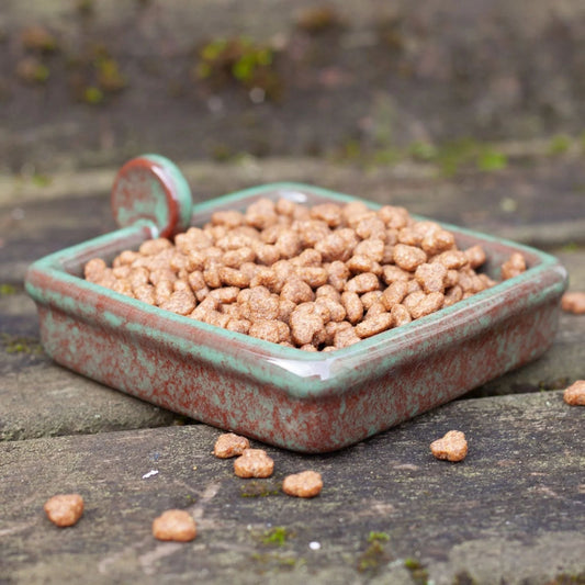 Hedgehog Food Bowl