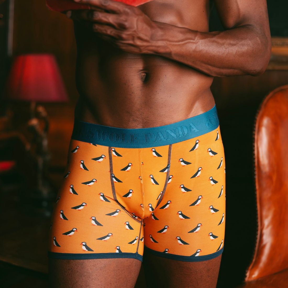 Bamboo Boxers - Puffins