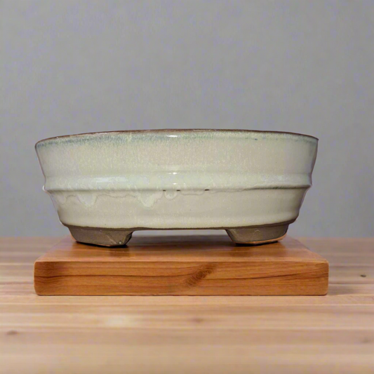 16cm Glazed Bonsai Pot | Oval | 16cm x 12cm x 3cm | White