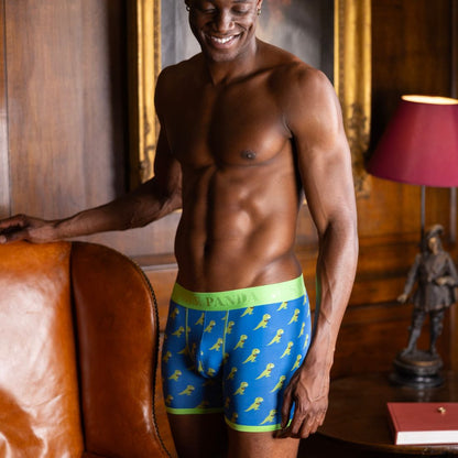 Bamboo Boxers 2 Pack - Navy & T-Rex