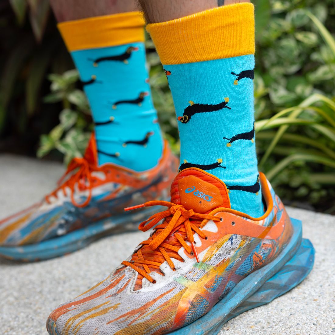 Sausage Dog Bamboo Socks