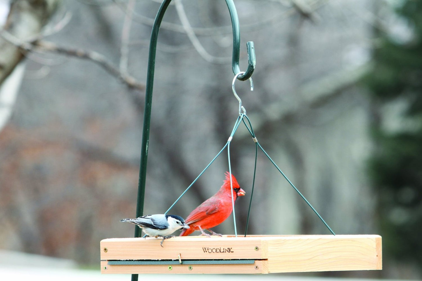 Woodlink 3 in 1 Platform Bird Feeder