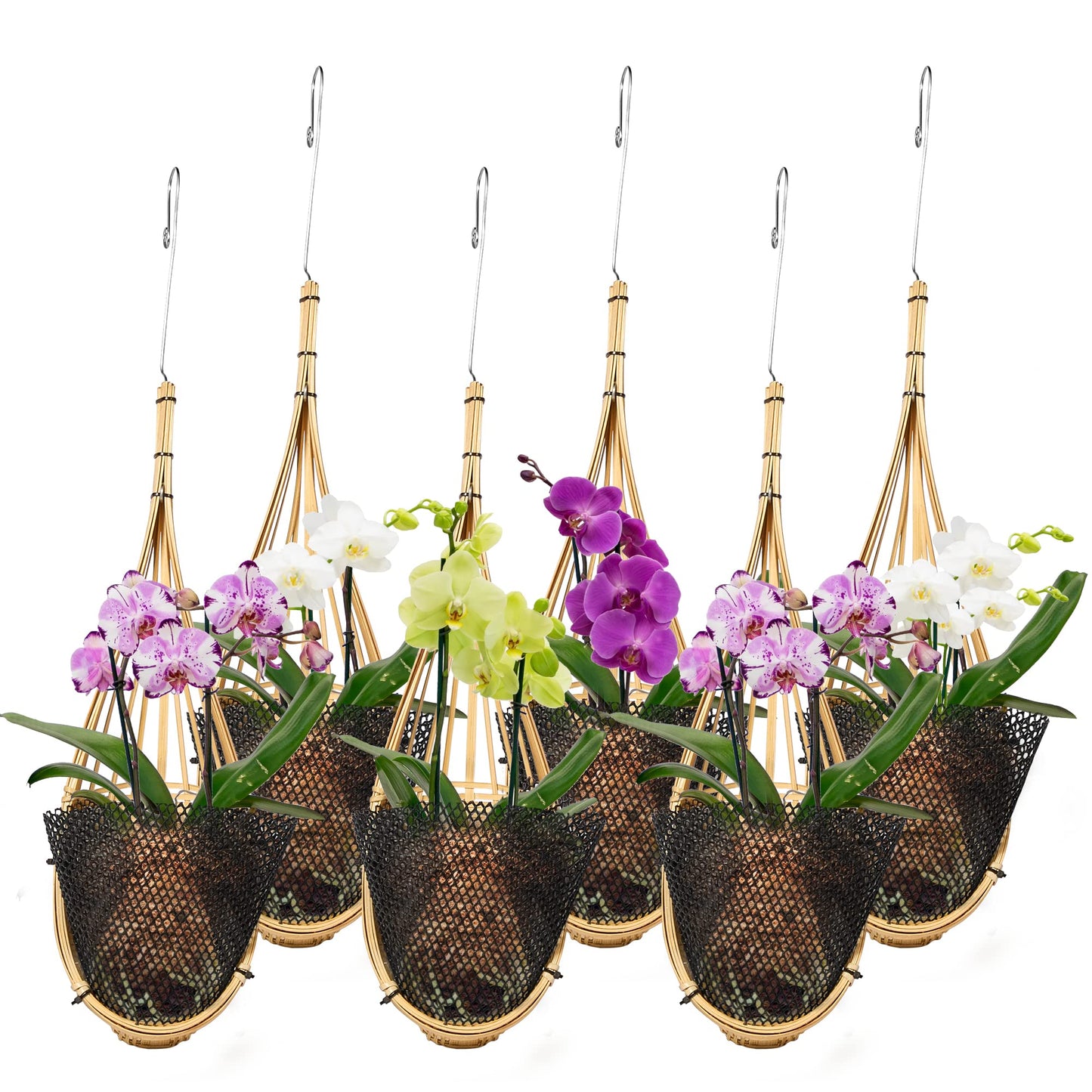 Lanccona Orchid Hanging Planter 5 Inch 6 Pack with Bird Nest Style Plant Hangers, Handmade Thai Bamboo Woven Hanging Orchid Basket for Trellis Gazebo