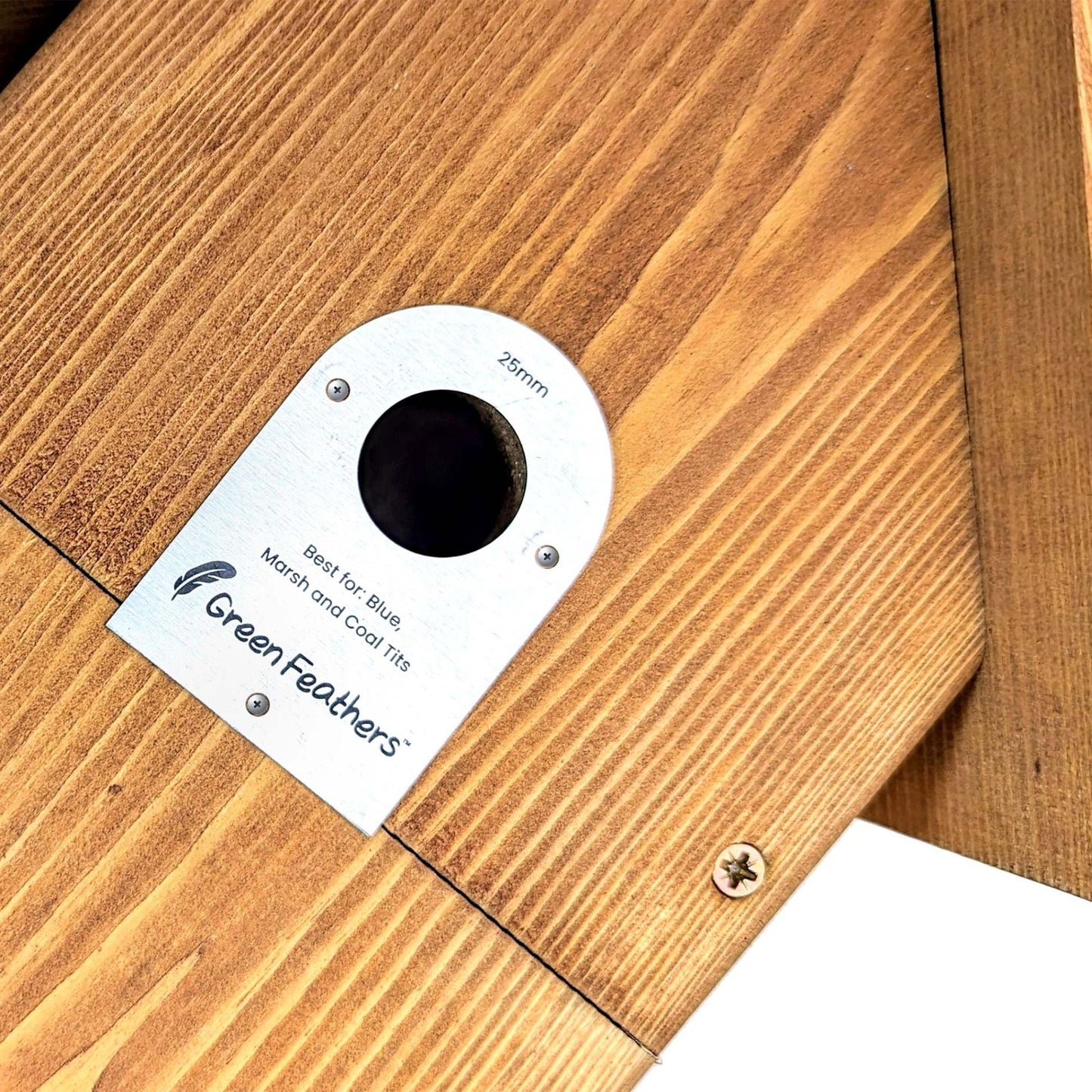 Green Feathers Bird Box Stainless Steel Cover Plates