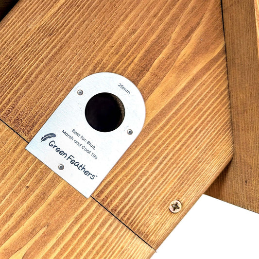 Green Feathers Bird Box Stainless Steel Cover Plates