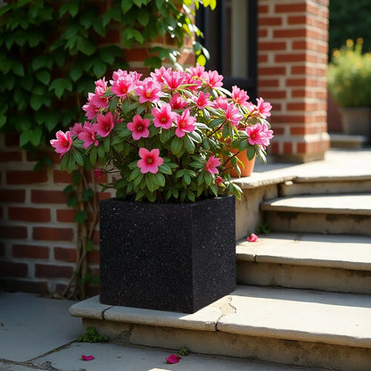 IDEALIST Lite Contemporary Flower Box Square Garden Planter, Light Concrete Outdoor Large Plant Pot H40 L40 W40 cm, 65L