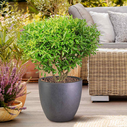 IDEALIST Lite 30cm Garden Planter | Washed Light Concrete Egg Round Planter | Contemporary Outdoor Plant Pot D30 H30 cm, 21L