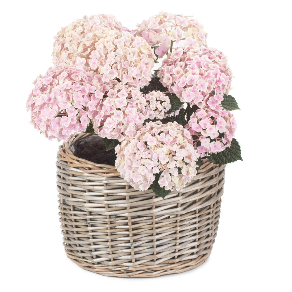 Round Antique Wash Wicker Planter-3