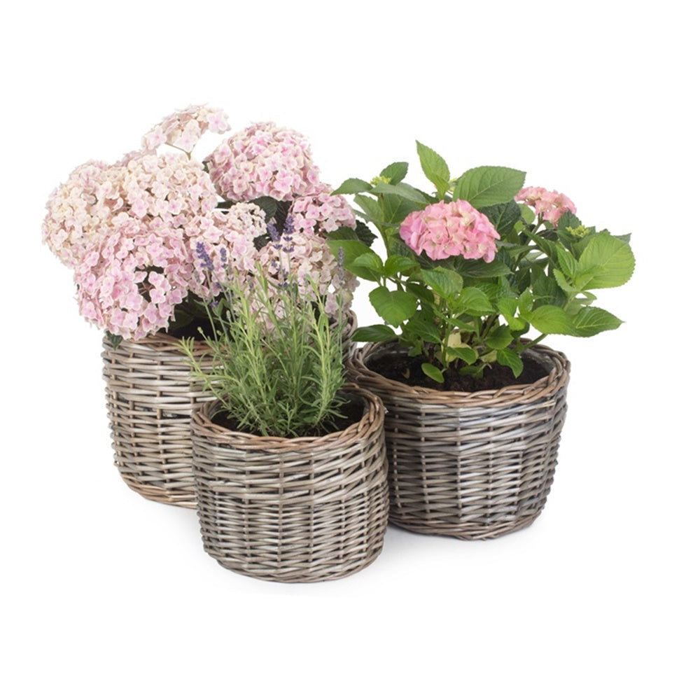 Round Antique Wash Wicker Planter-5
