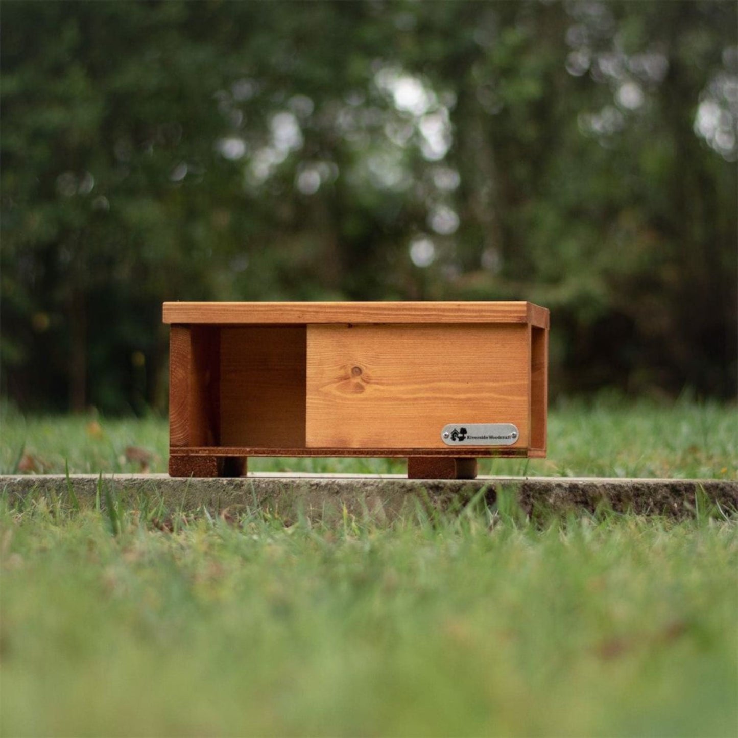 Hedgehog House Tunnel