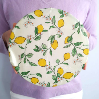 Set of 2 Large Handmade Beeswax Wraps | Lemony Bees