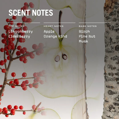 Lingonberry 100ml Reed Diffuser