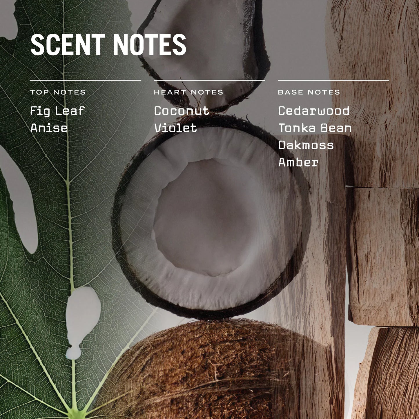 Opulence 100ml Reed Diffuser