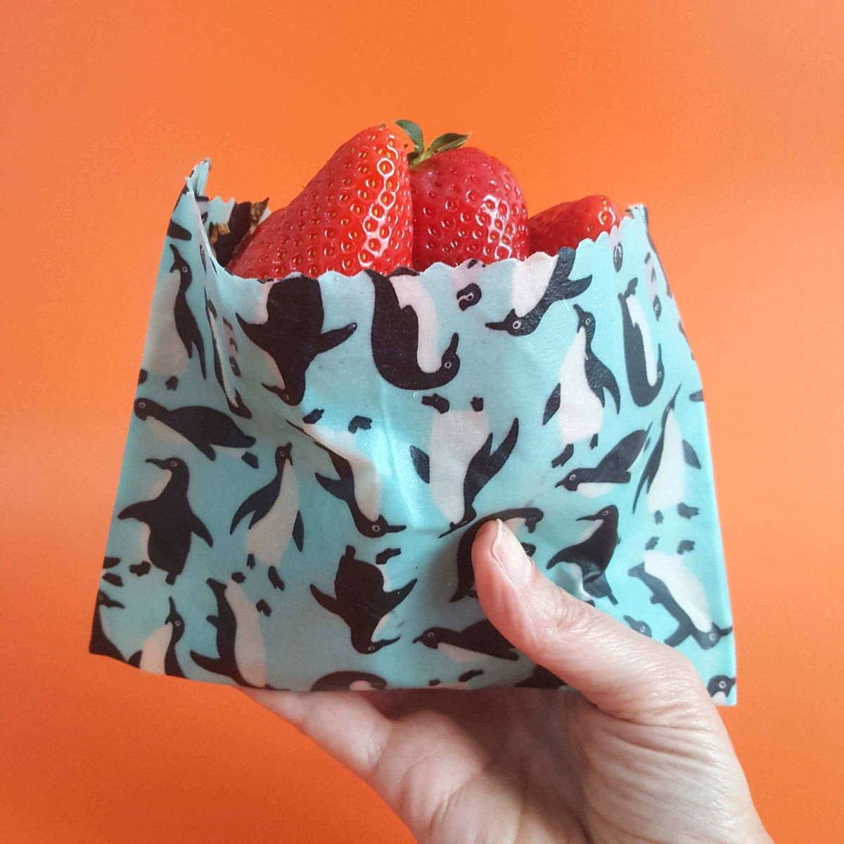 Set of 3 Handmade Beeswax Wraps | Wings