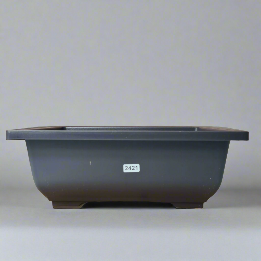 Plastic Bonsai Training Pot | Rectangle | 29cm x 21cm x 11cm