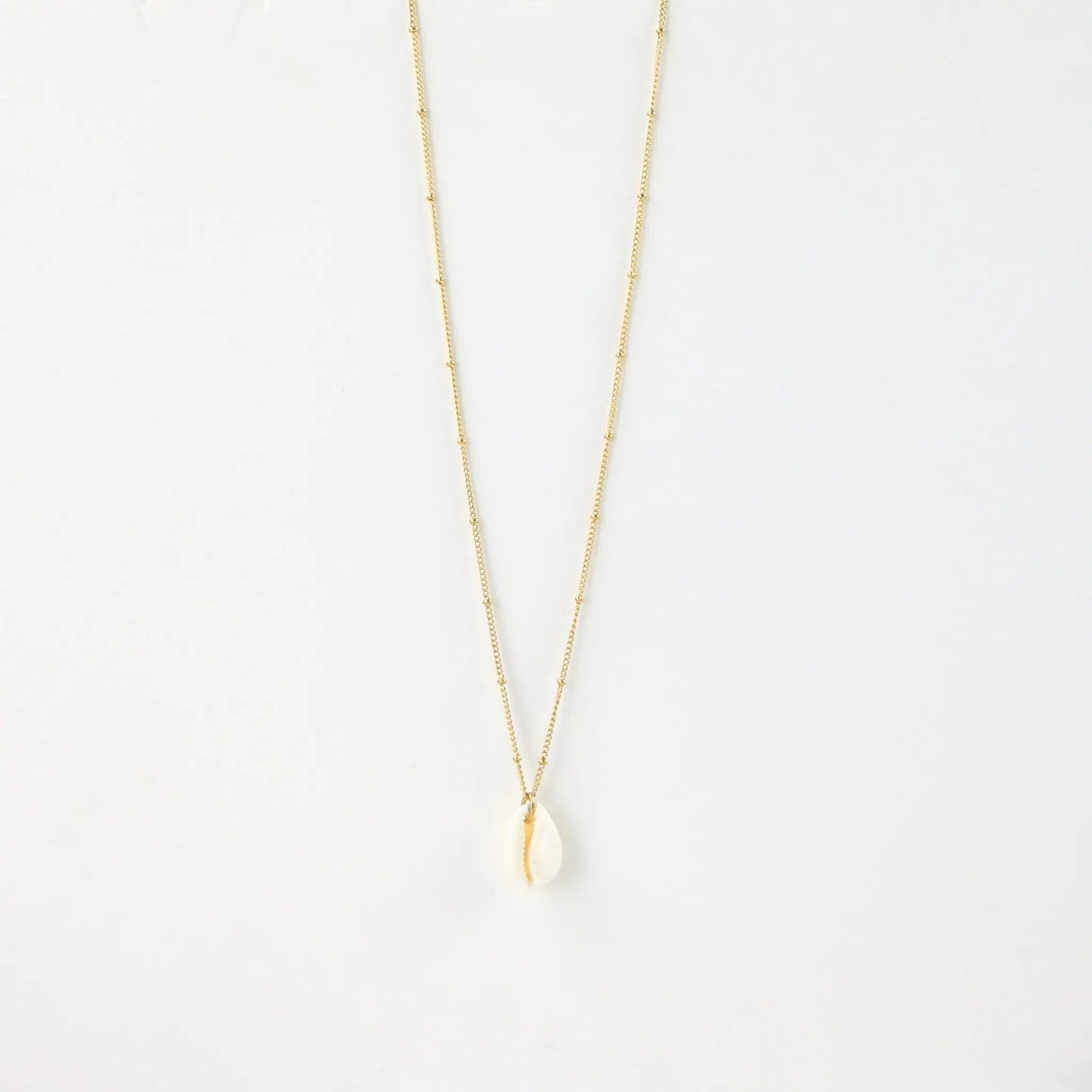Cowrie Shell Chain Necklace