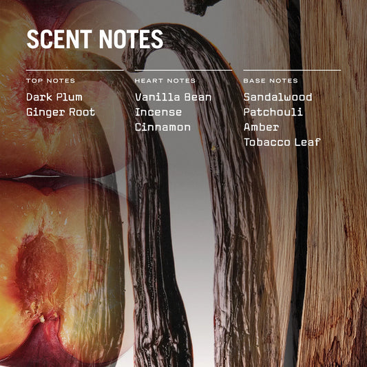 San Marco 100ml Reed Diffuser