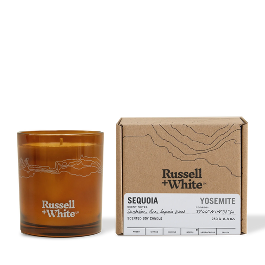 Sequoia 250g Scented Soy Candle