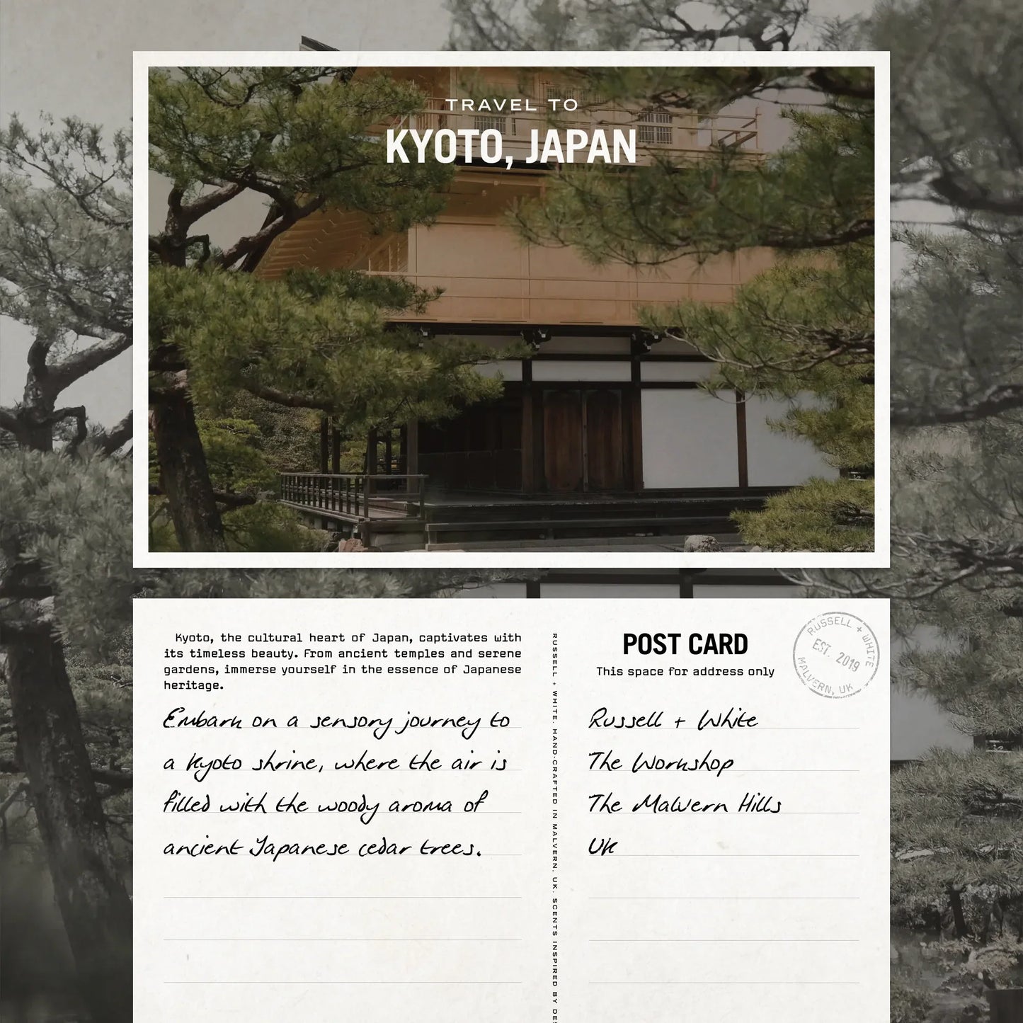 Sugi 250g Scented Soy Candle